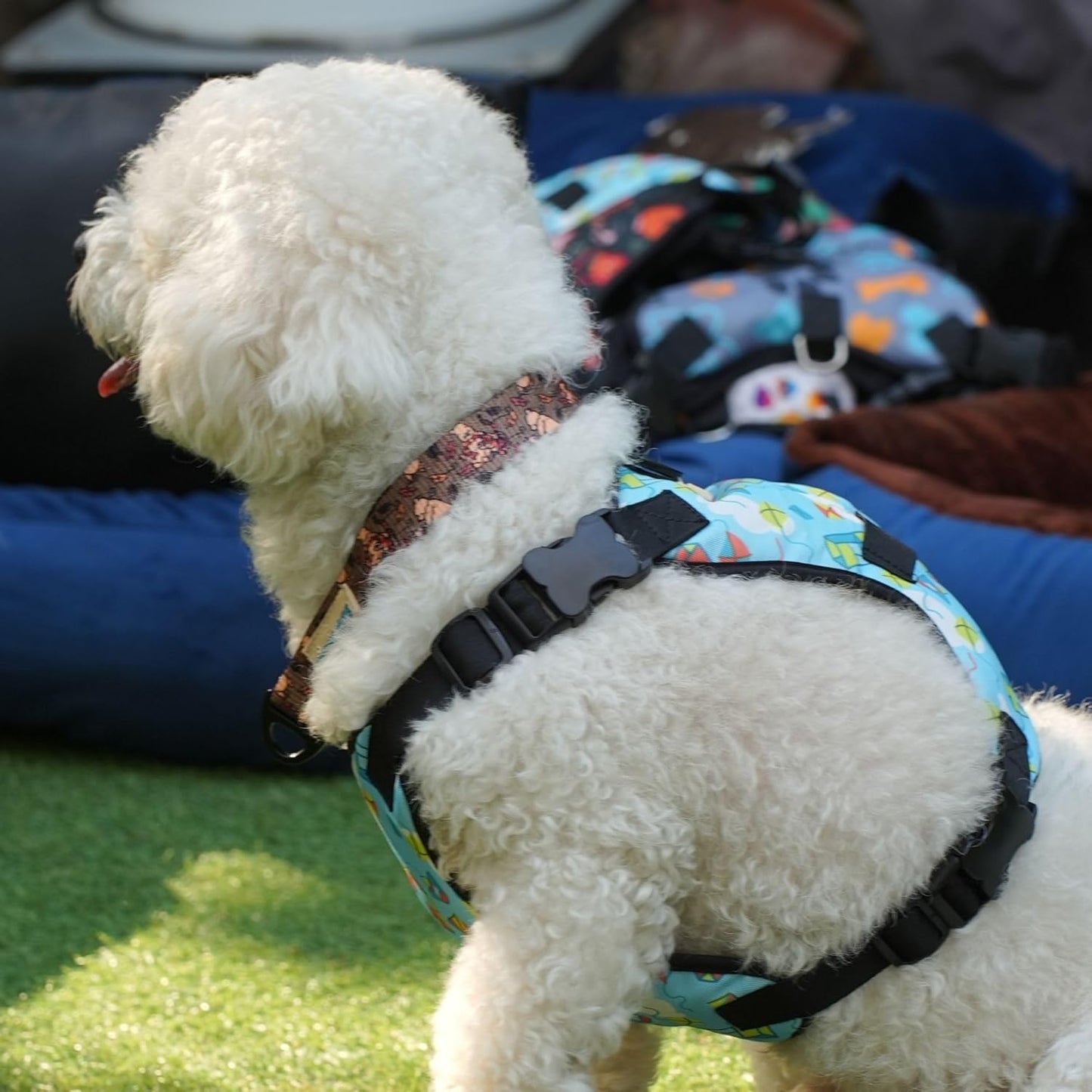 Green Book Print No-Pull/No Choke Comfortable Dog Vest Harness | Adjustable Soft Padded Vest for Dogs