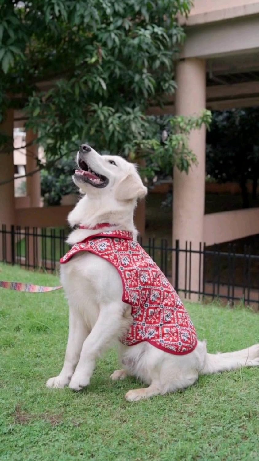 Blue Elite Printed Super Soft Warm Dog/Cat Jacket for Winter