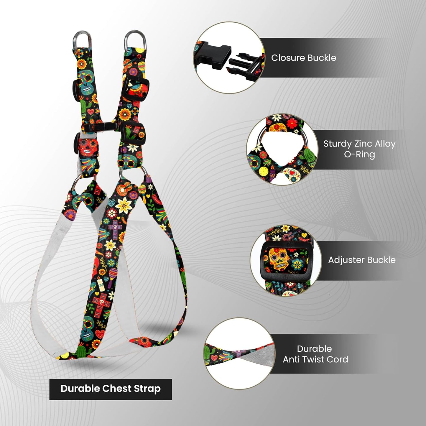 Multicolor Dog Collar, Leash & Harness Combo Set