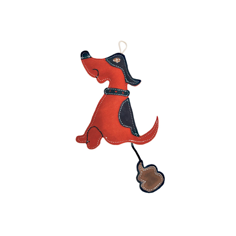 PawBuddy Tug Toy