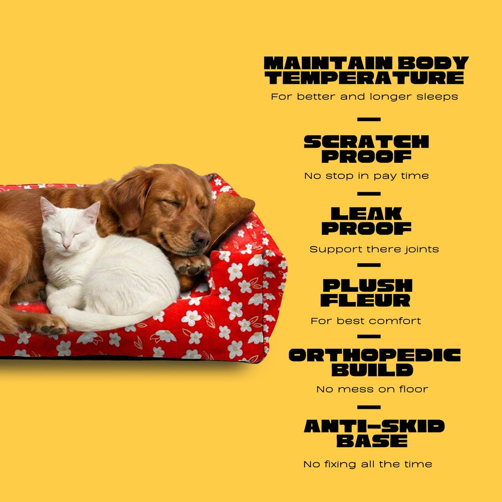 Lounger Flowral Print Sofa Bed