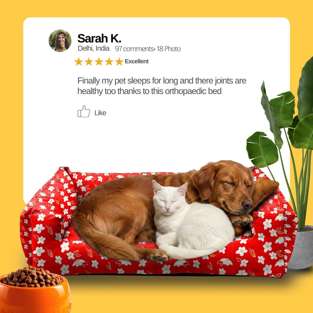 Lounger Flowral Print Sofa Bed