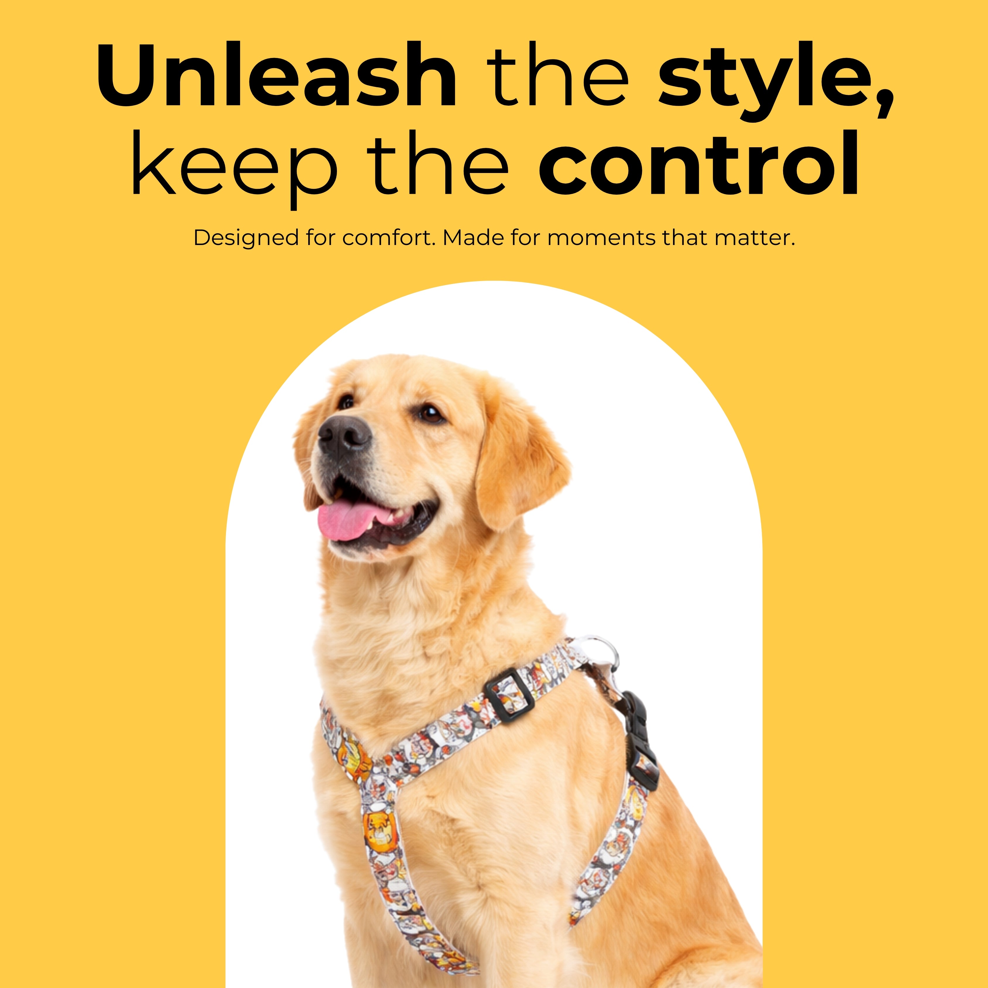 BuddyPrint Harness & Matching Leash