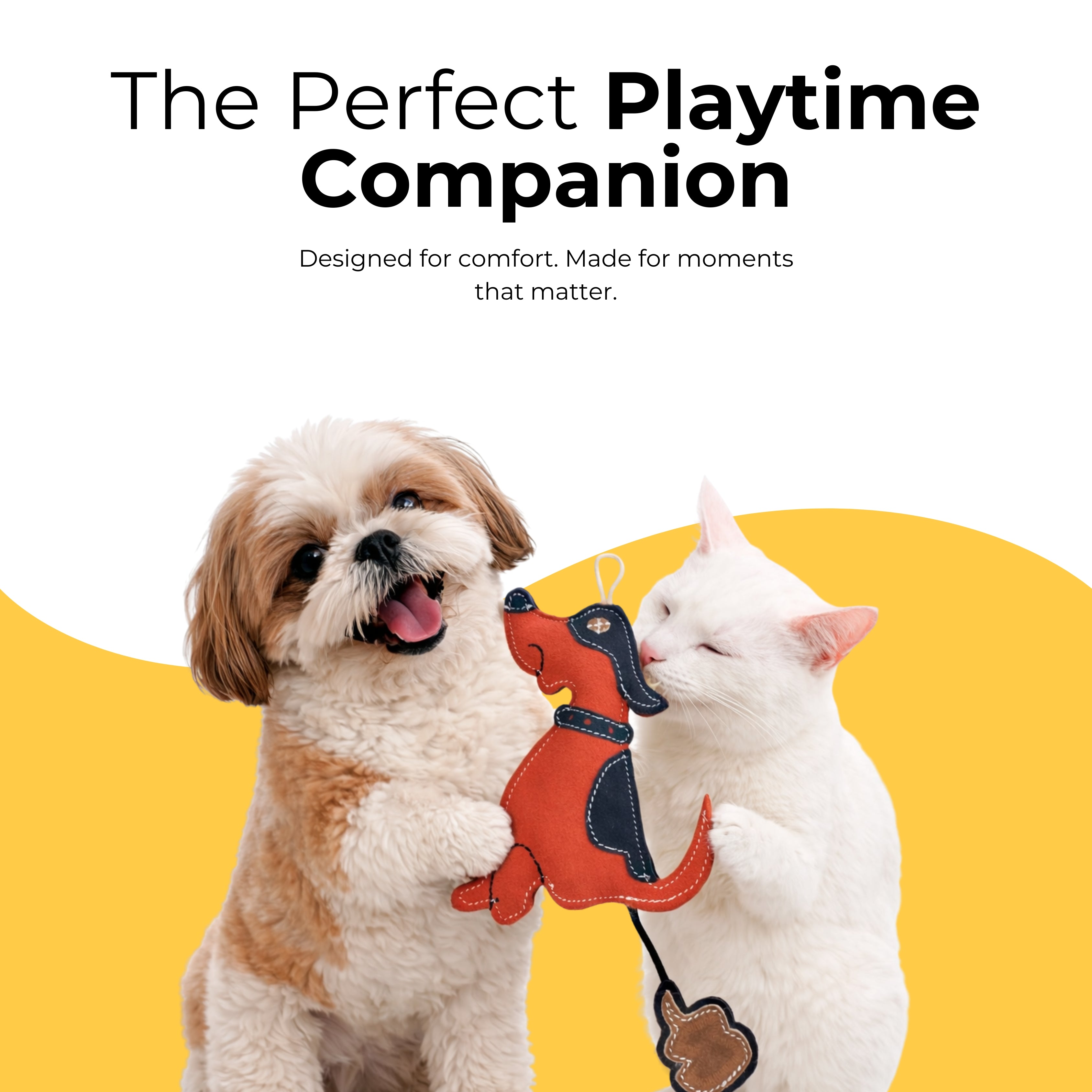 PawBuddy Tug Toy