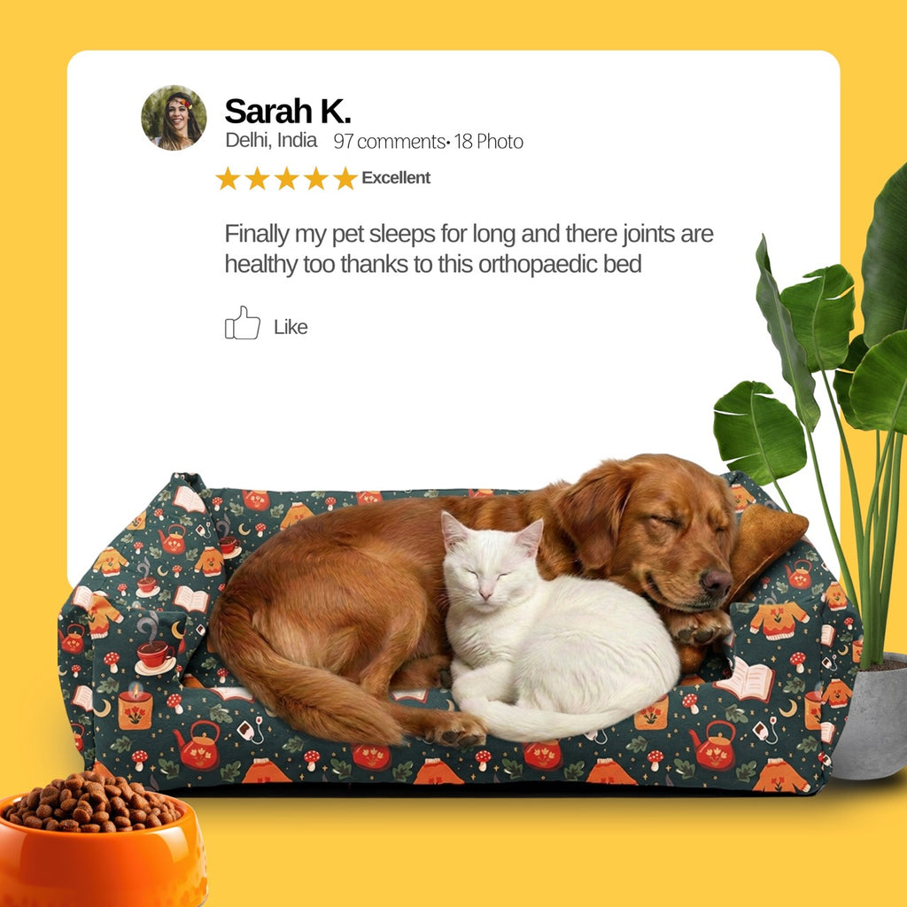 Lounger Jacket Print Sofa Bed