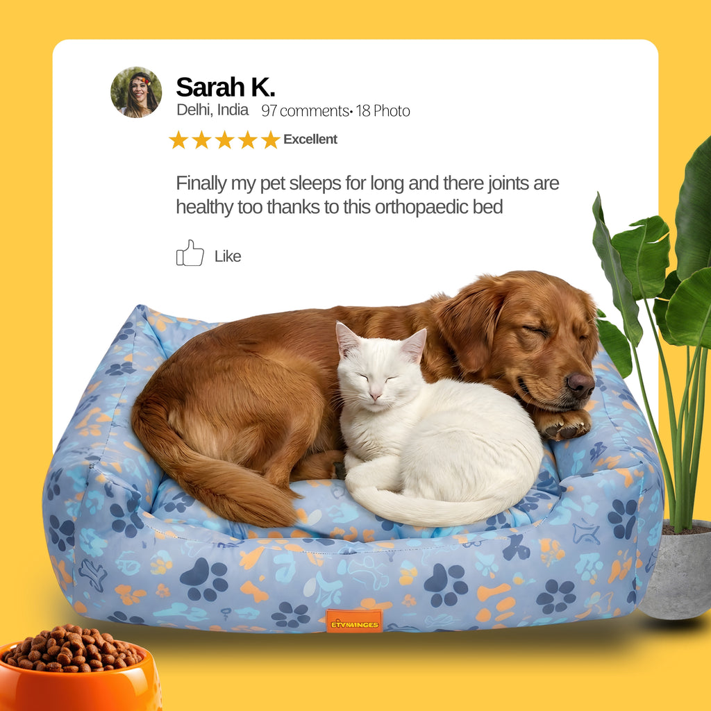 ComfortNest Funky Paw Print Bed