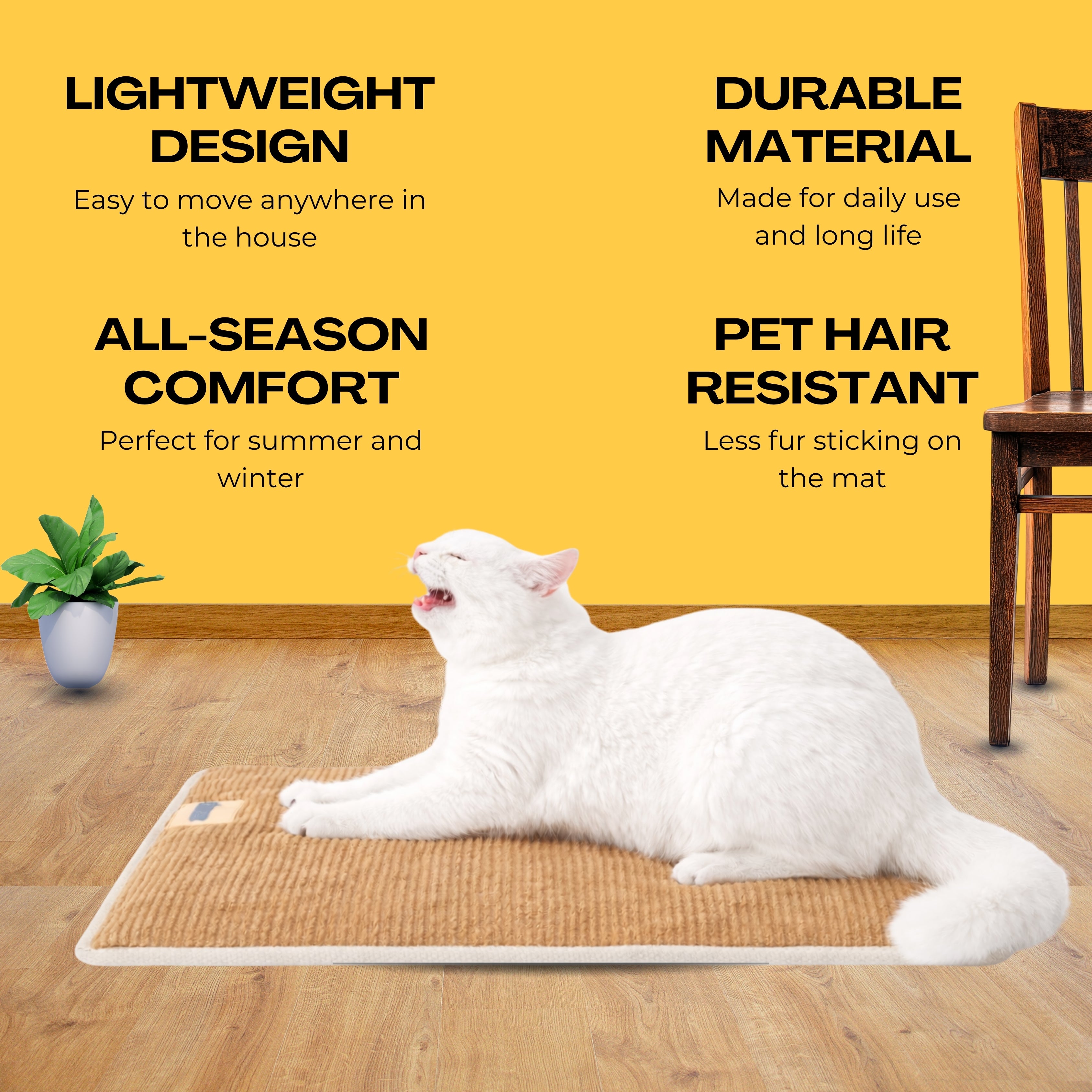 ClawLounge Scratch Pad