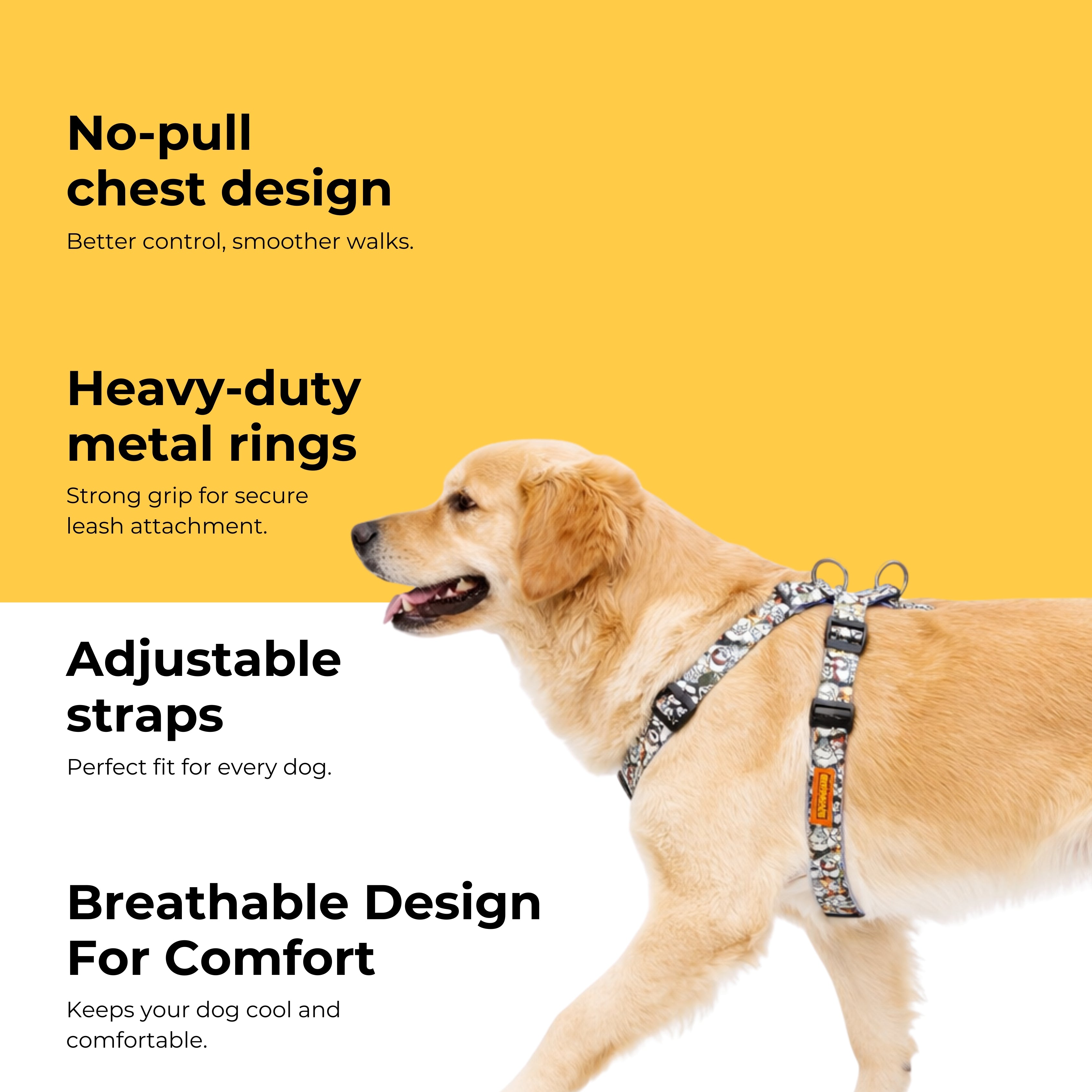 BuddyPrint Harness & Matching Leash