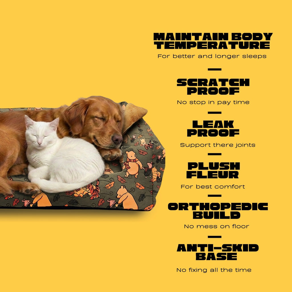 Lounger Pooh Print Sofa Bed