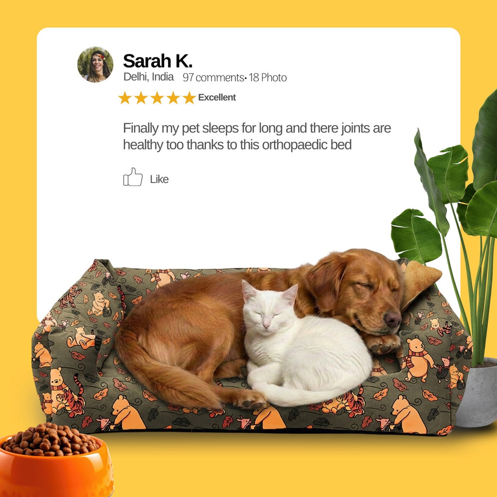 Lounger Pooh Print Sofa Bed