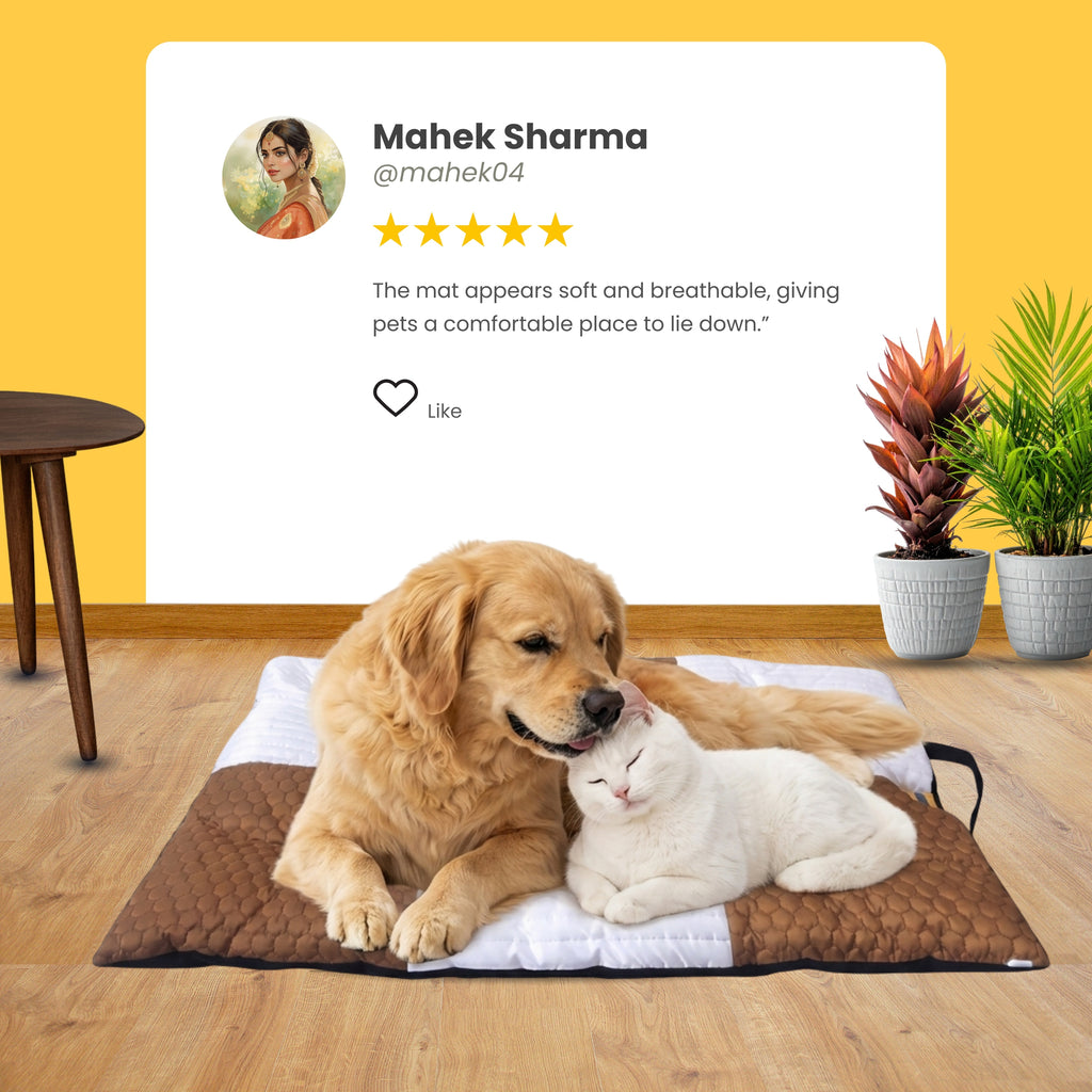 CloudMat Pet Mat