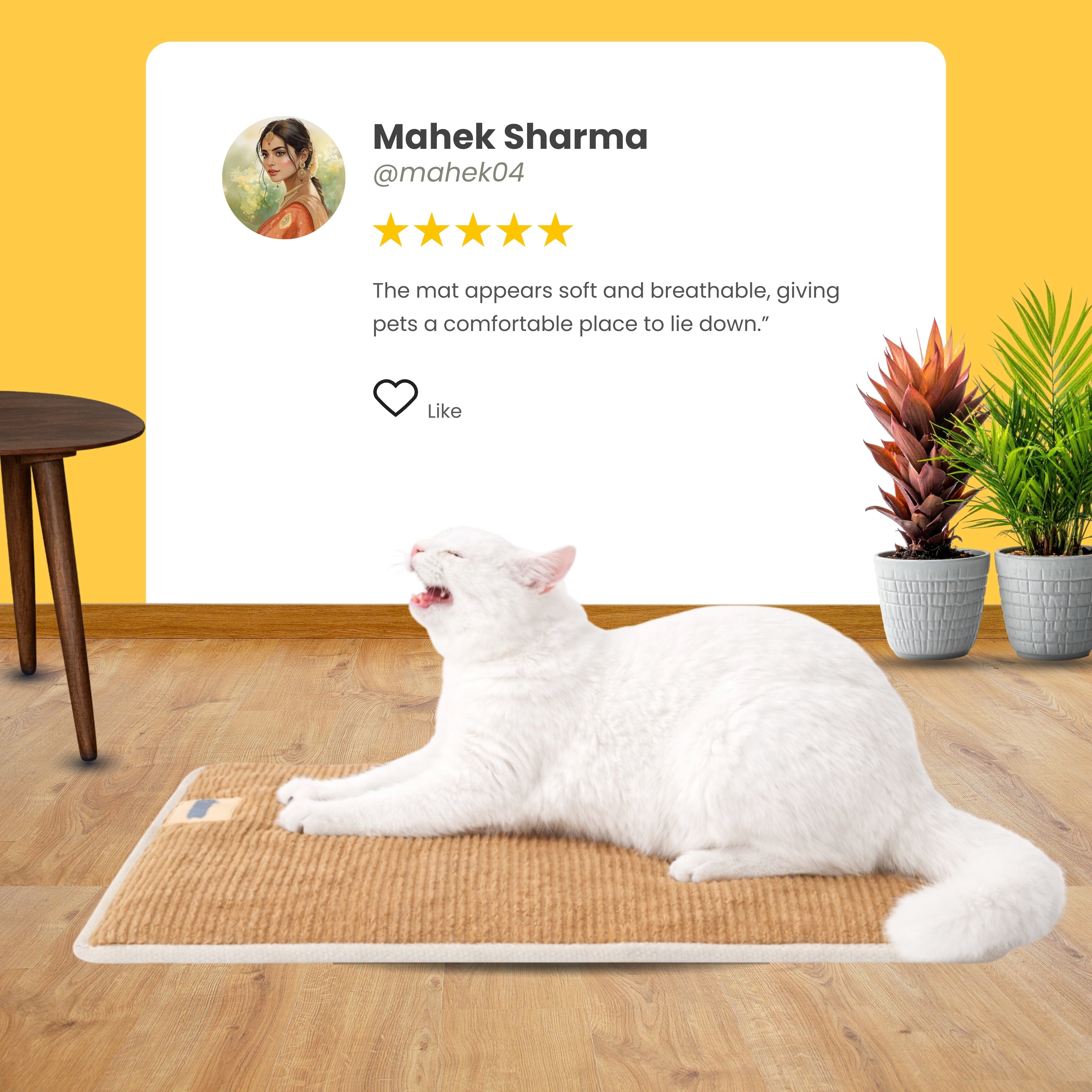 ClawLounge Scratch Pad