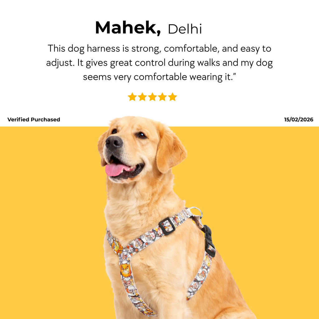 BuddyPrint Harness & Matching Leash