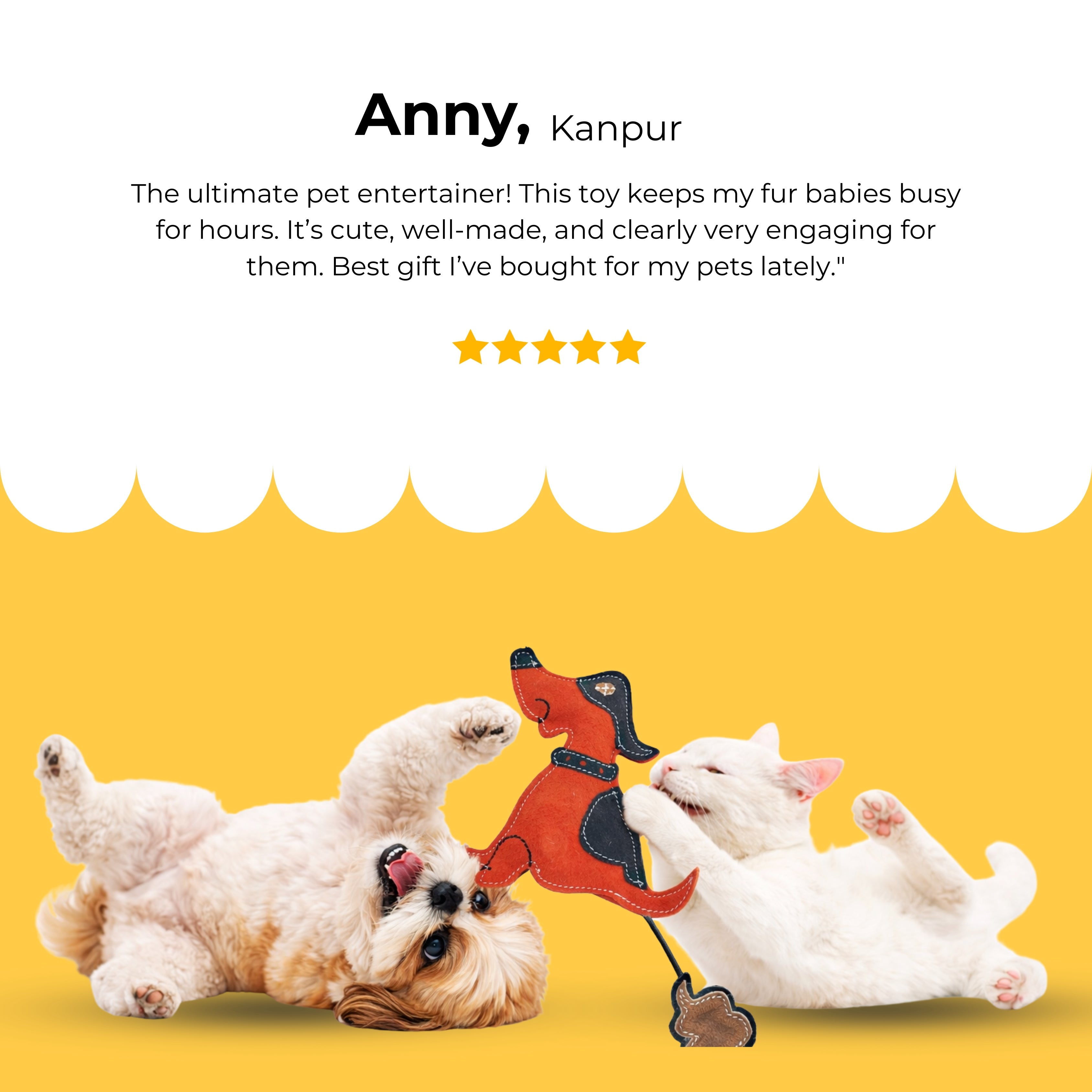 PawBuddy Tug Toy