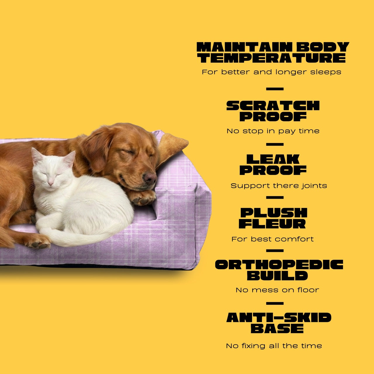 Lounger Stripes Print Sofa Bed