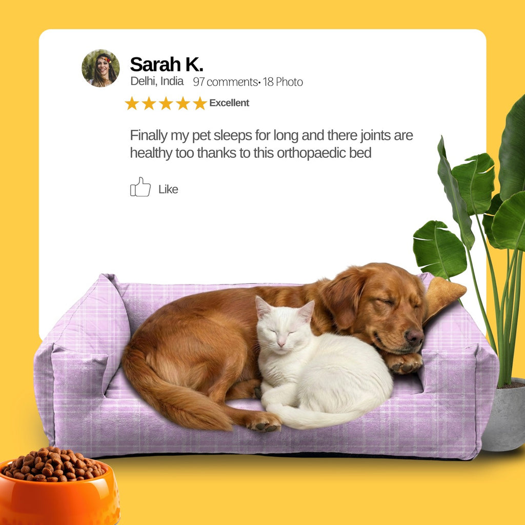 Lounger Stripes Print Sofa Bed