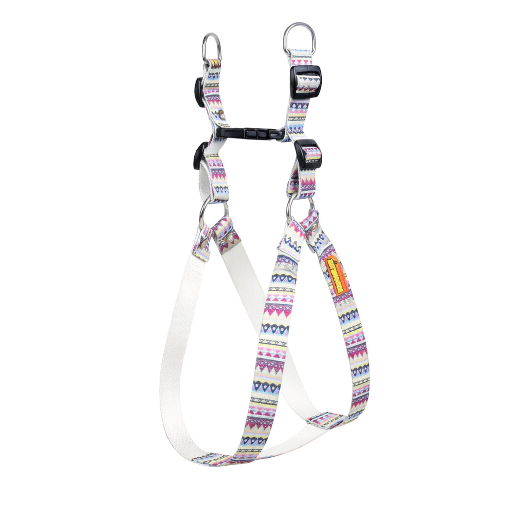 Candy Trail Harness & Matching Leash
