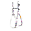 Candy Trail Harness & Matching Leash