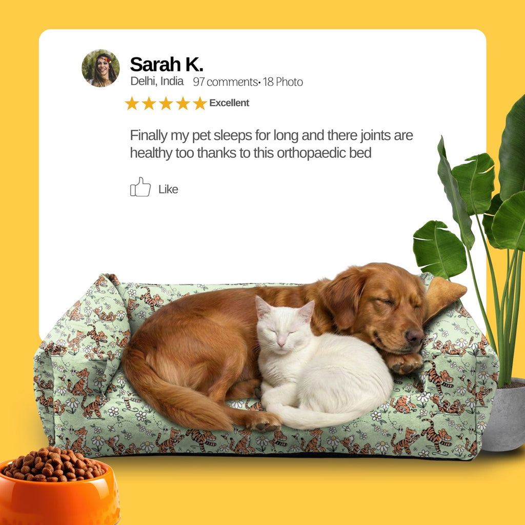 Lounger Tiger Print Sofa Bed