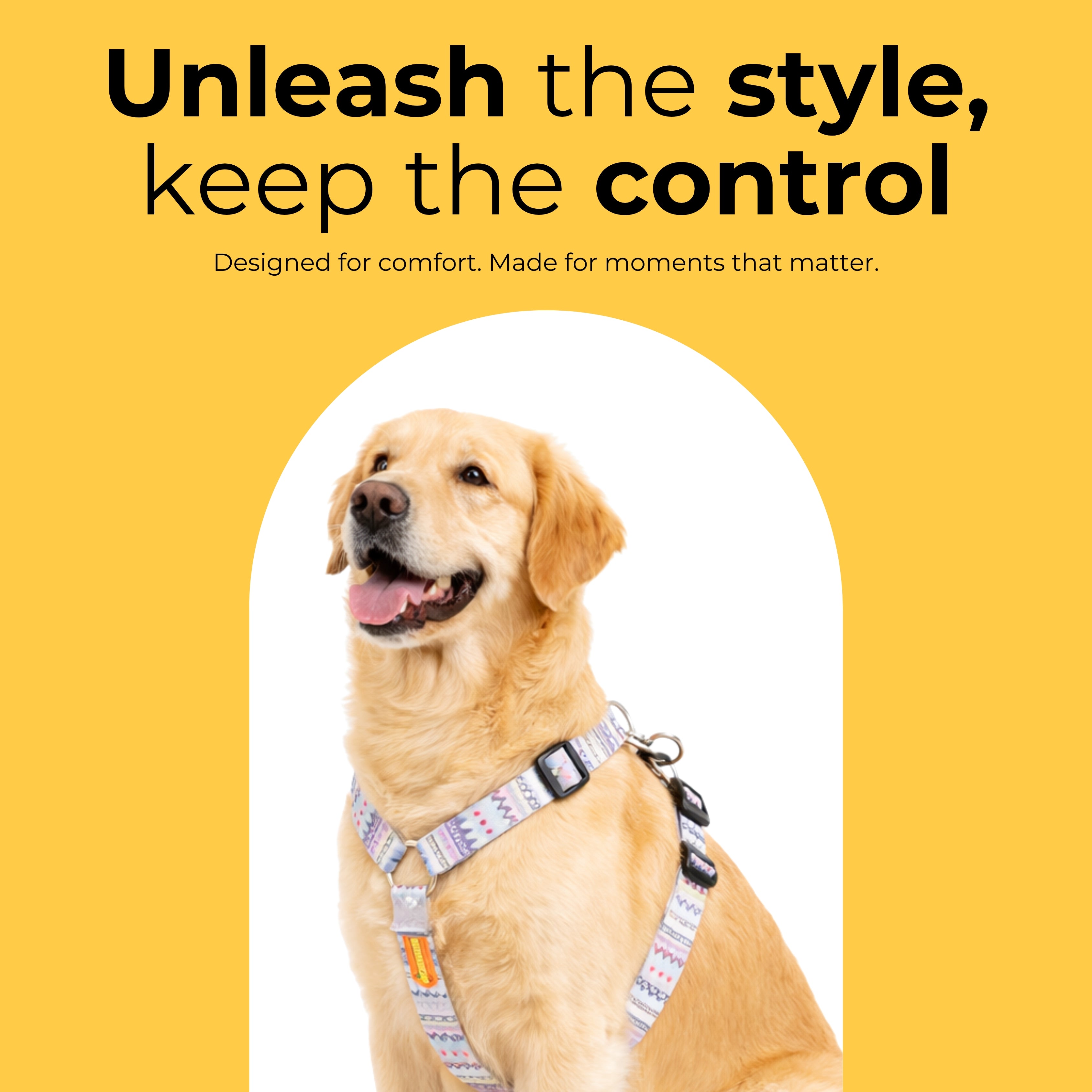 Candy Trail Harness & Matching Leash