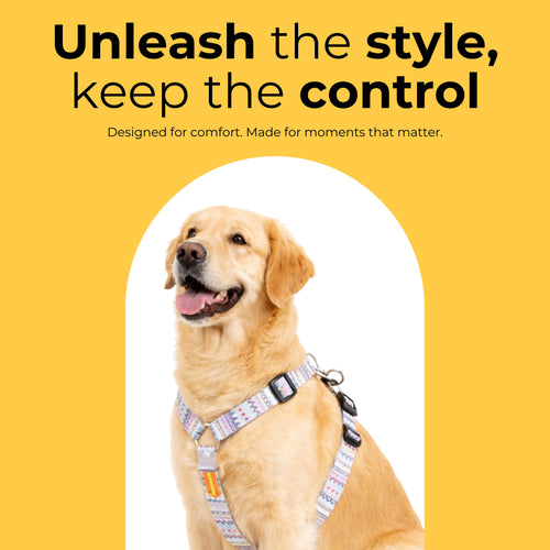Candy Trail Harness & Matching Leash