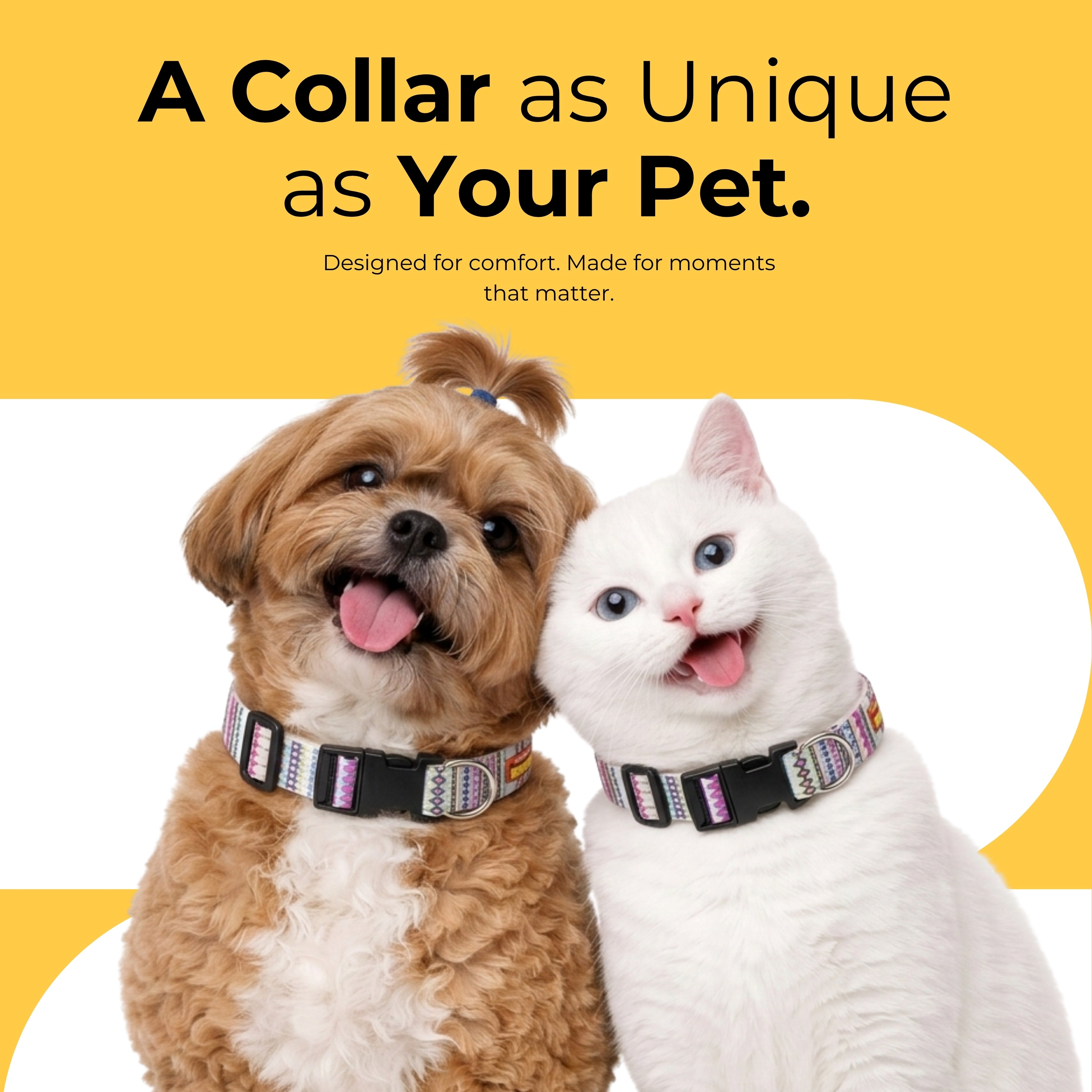 Candy Trail Collar & Matching Leash