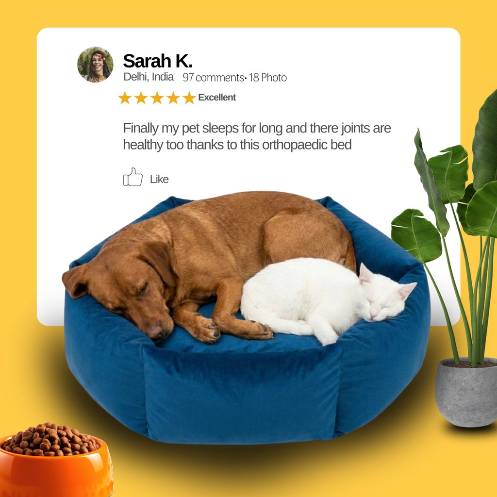 SoftThrone Pet Bed