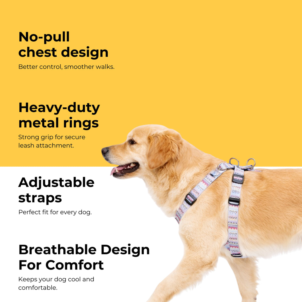 Candy Trail Harness & Matching Leash