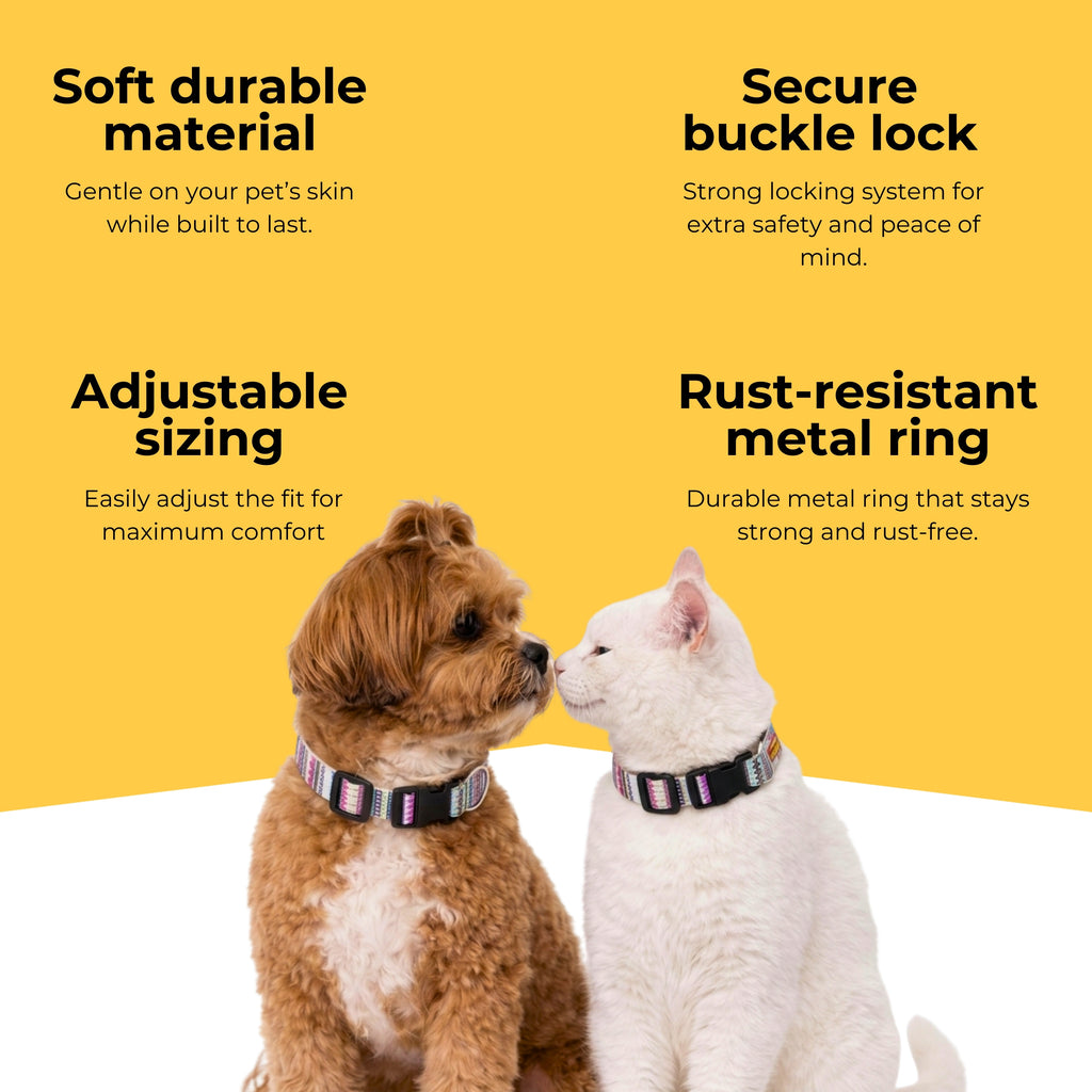 Candy Trail Collar & Matching Leash
