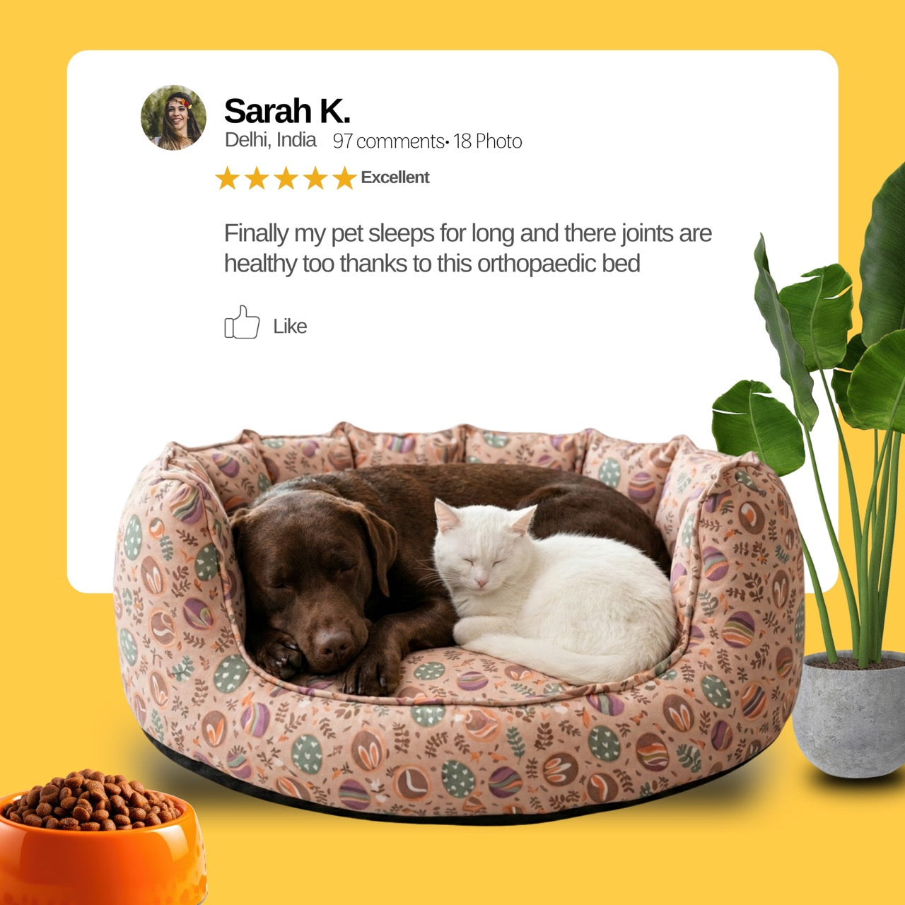 SnoozeSofa Colorful Egg Print Bed