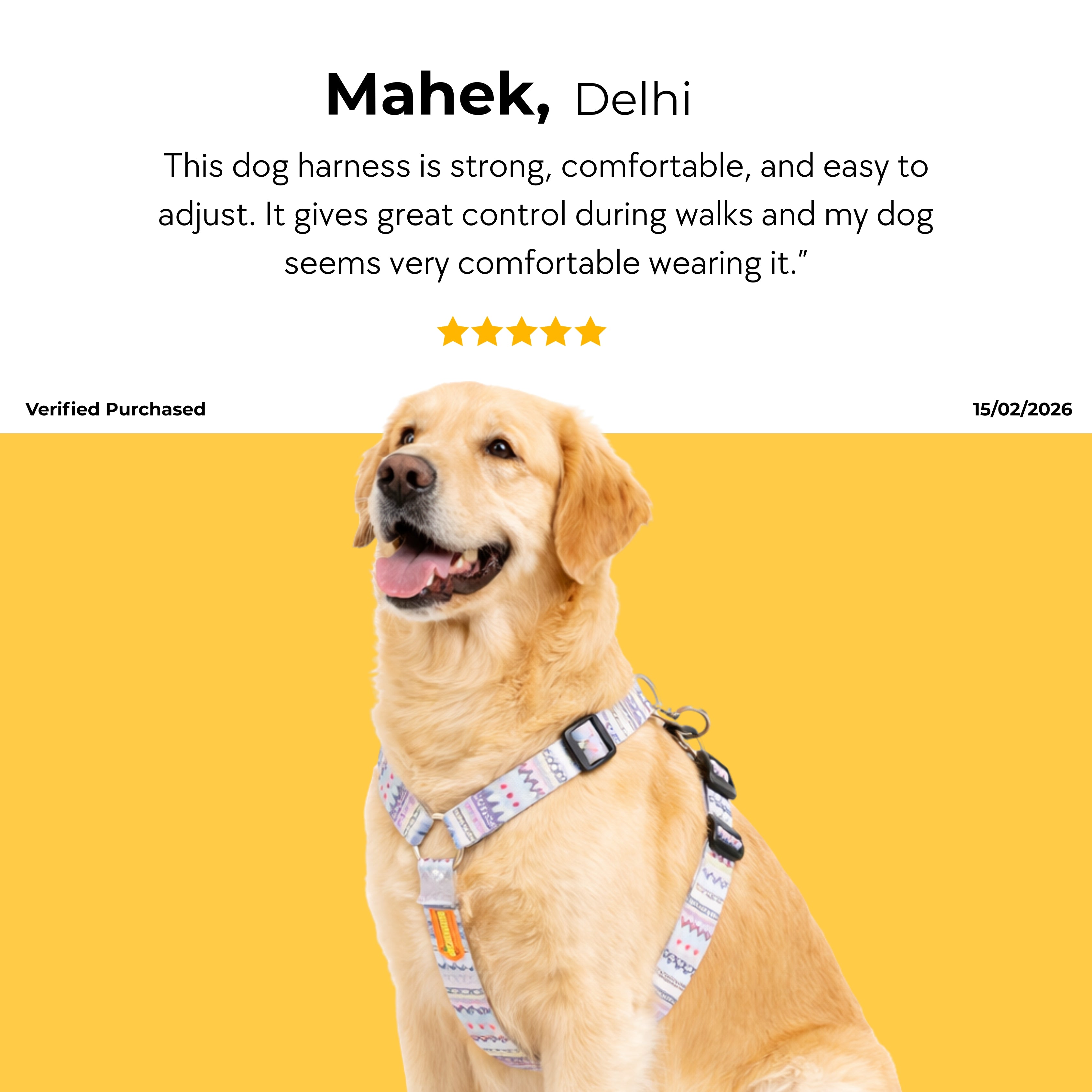 Candy Trail Harness & Matching Leash