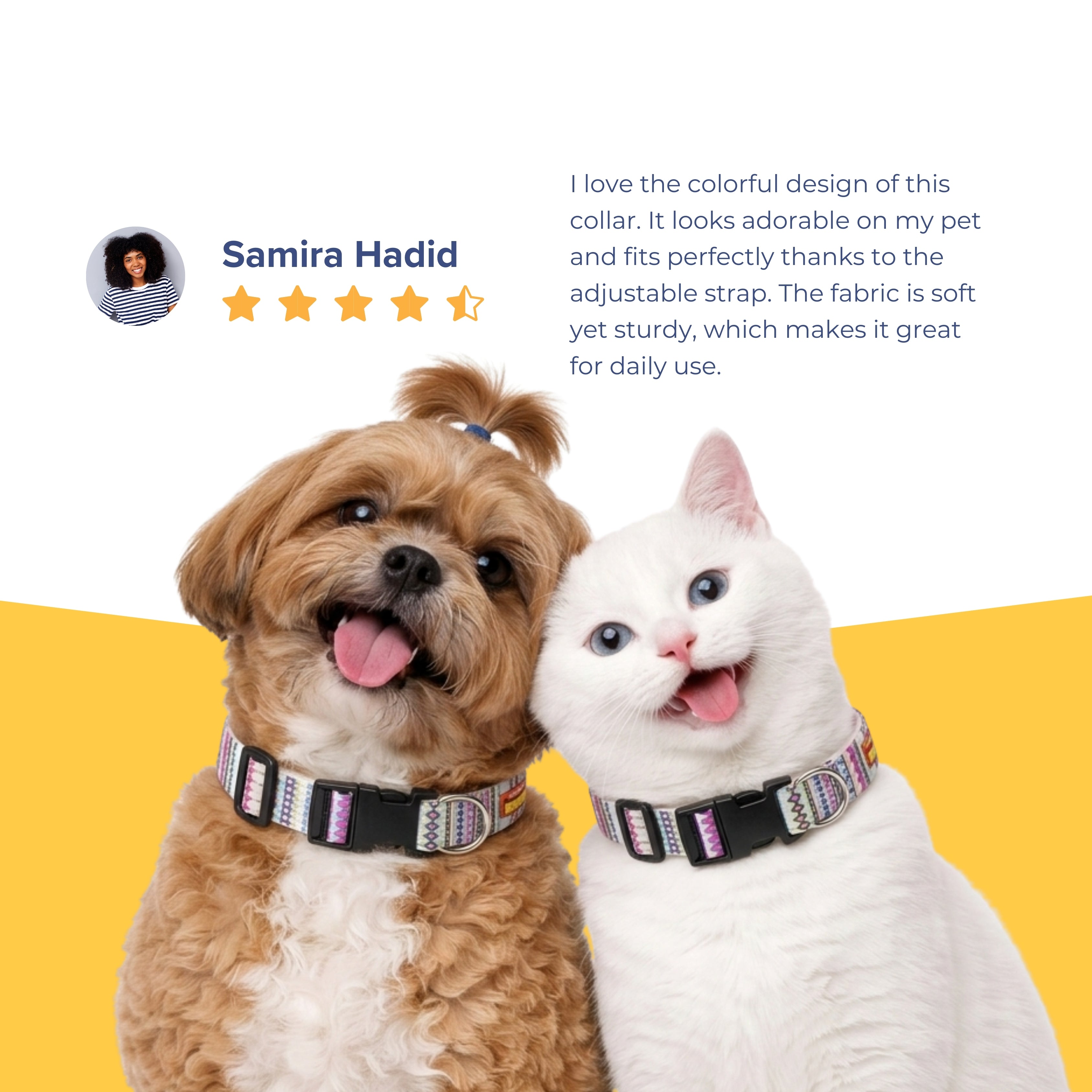 Candy Trail Collar & Matching Leash