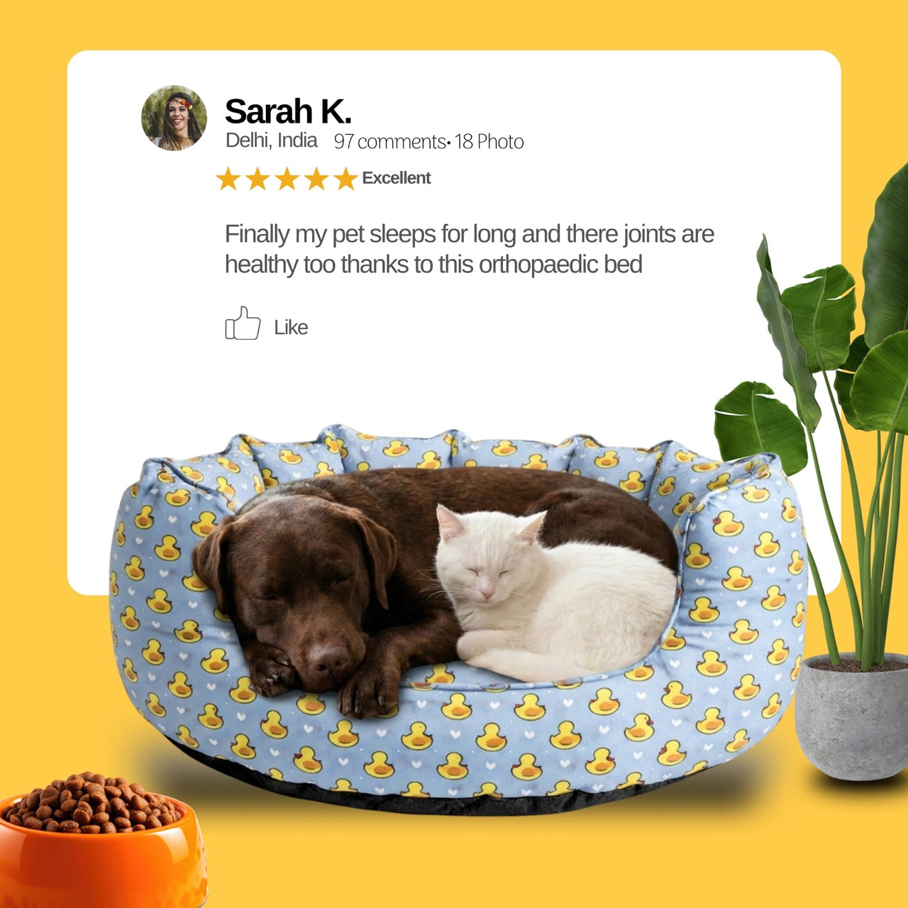 SnoozeSofa Duck Print Bed