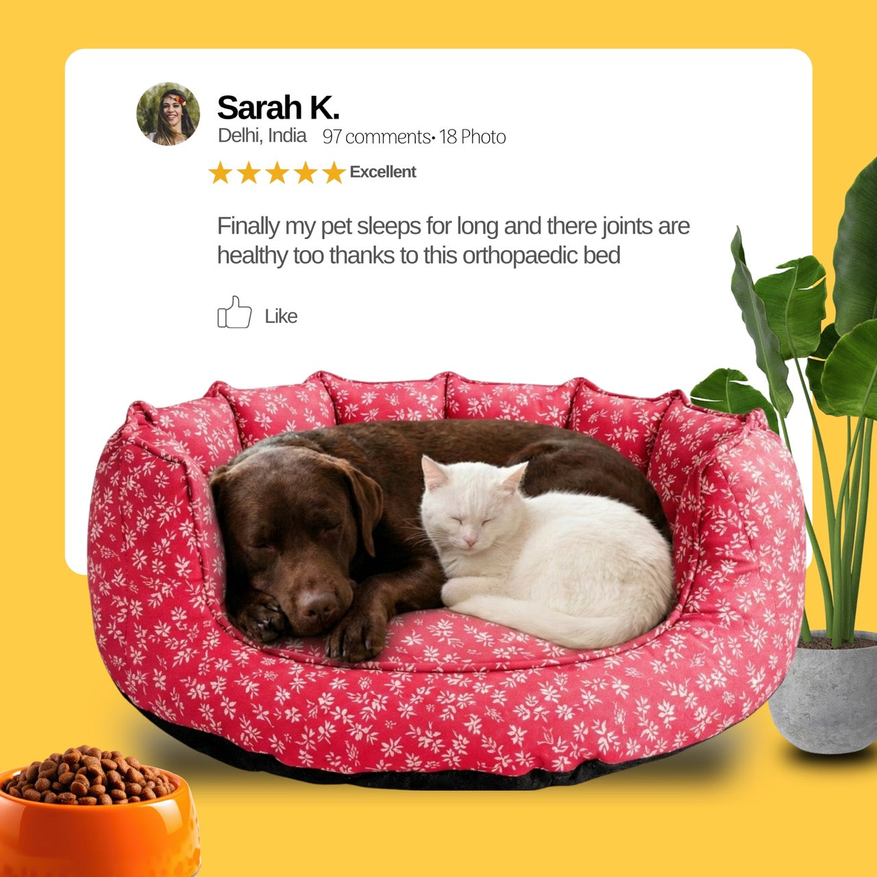 SnoozeSofa Fall Print Bed