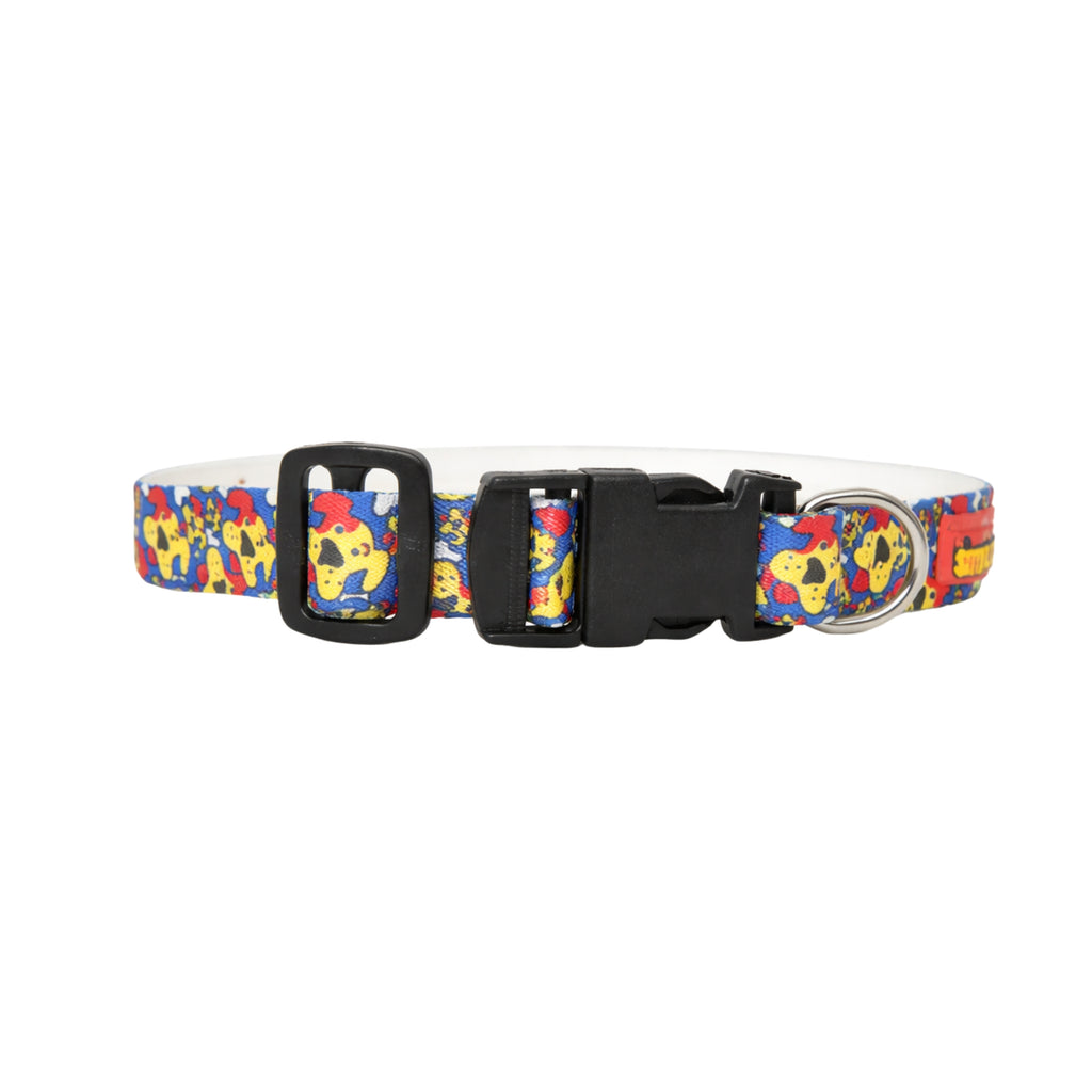 FunTrail Collar & Matching Leash