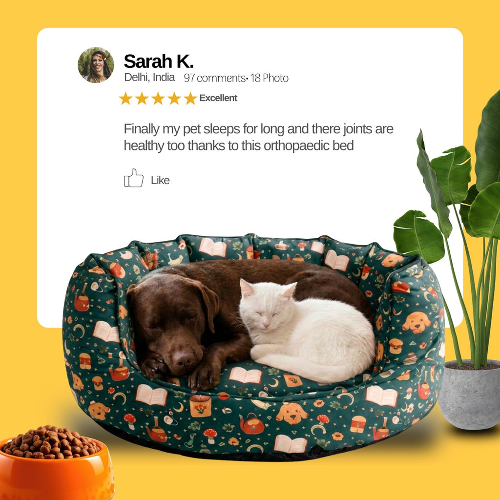 SnoozeSofa Jacket Print Bed