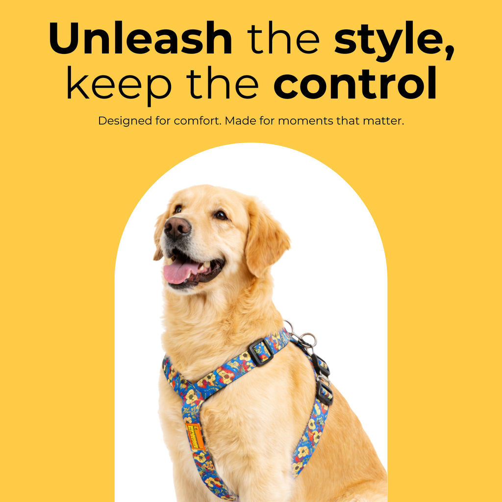 FunTrail Harness & Matching Leash