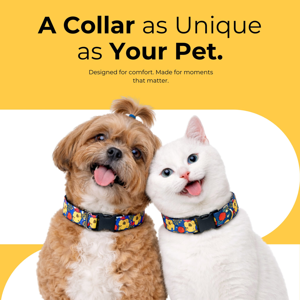 FunTrail Collar & Matching Leash