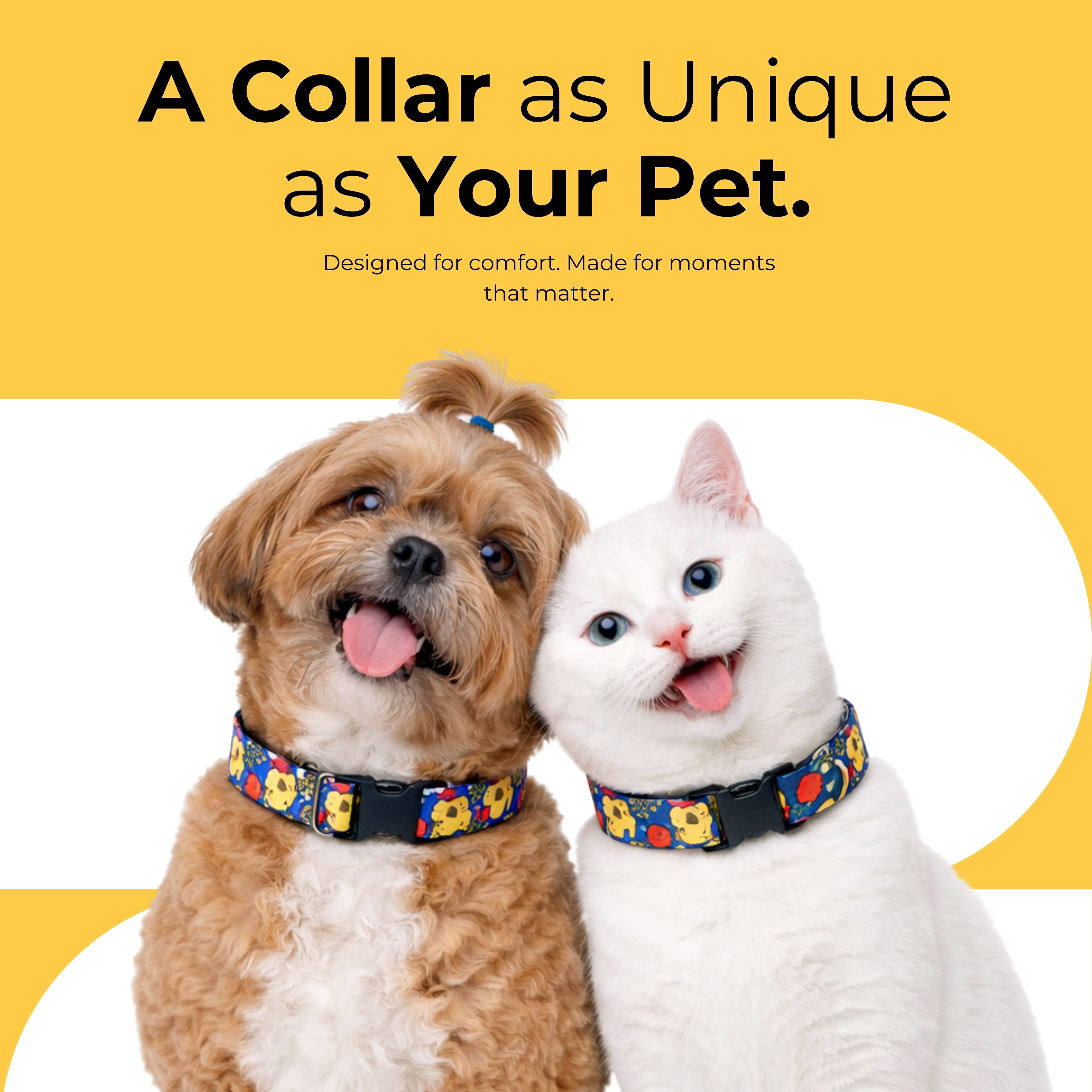 FunTrail Collar & Matching Leash