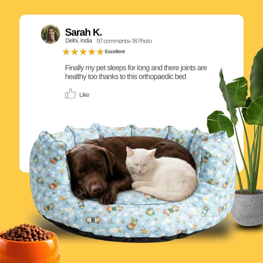 SnoozeSofa Kite Print Bed