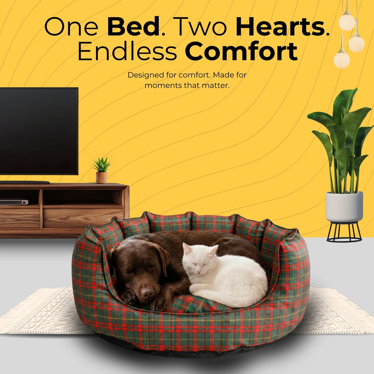 SnoozeSofa Stripe Print Bed