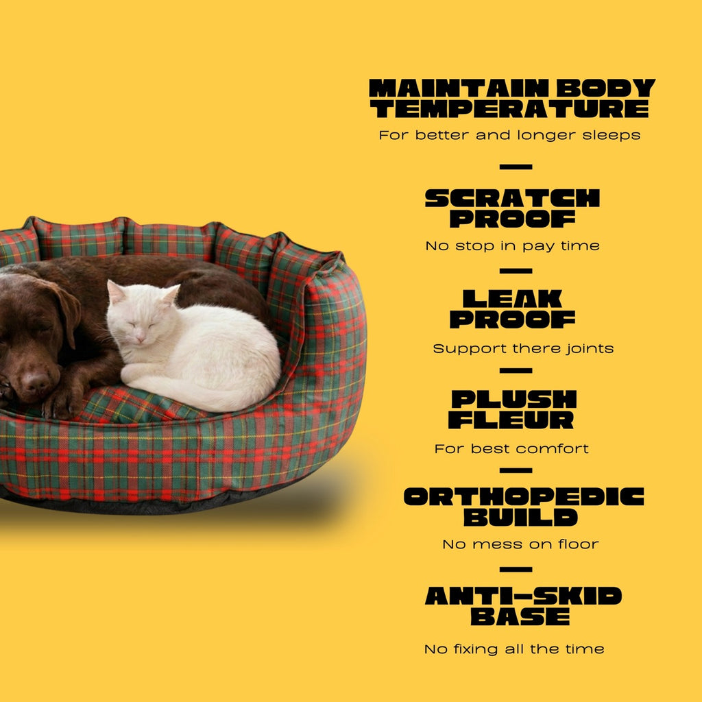 SnoozeSofa Stripe Print Bed