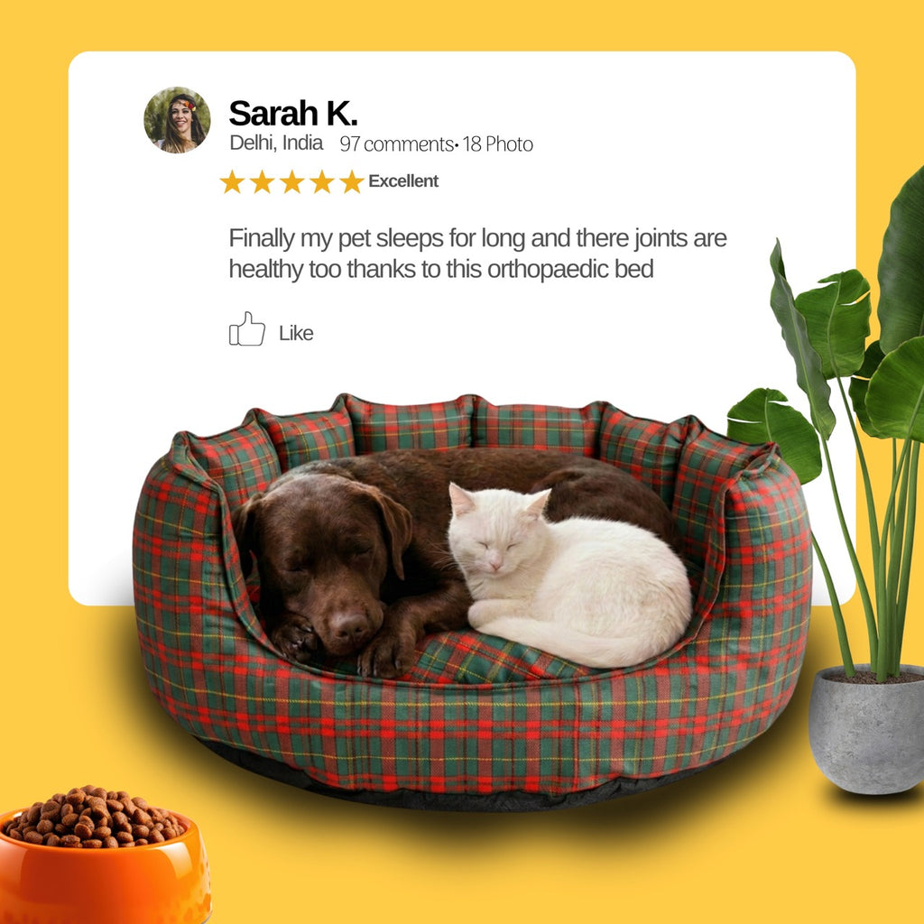 SnoozeSofa Stripe Print Bed