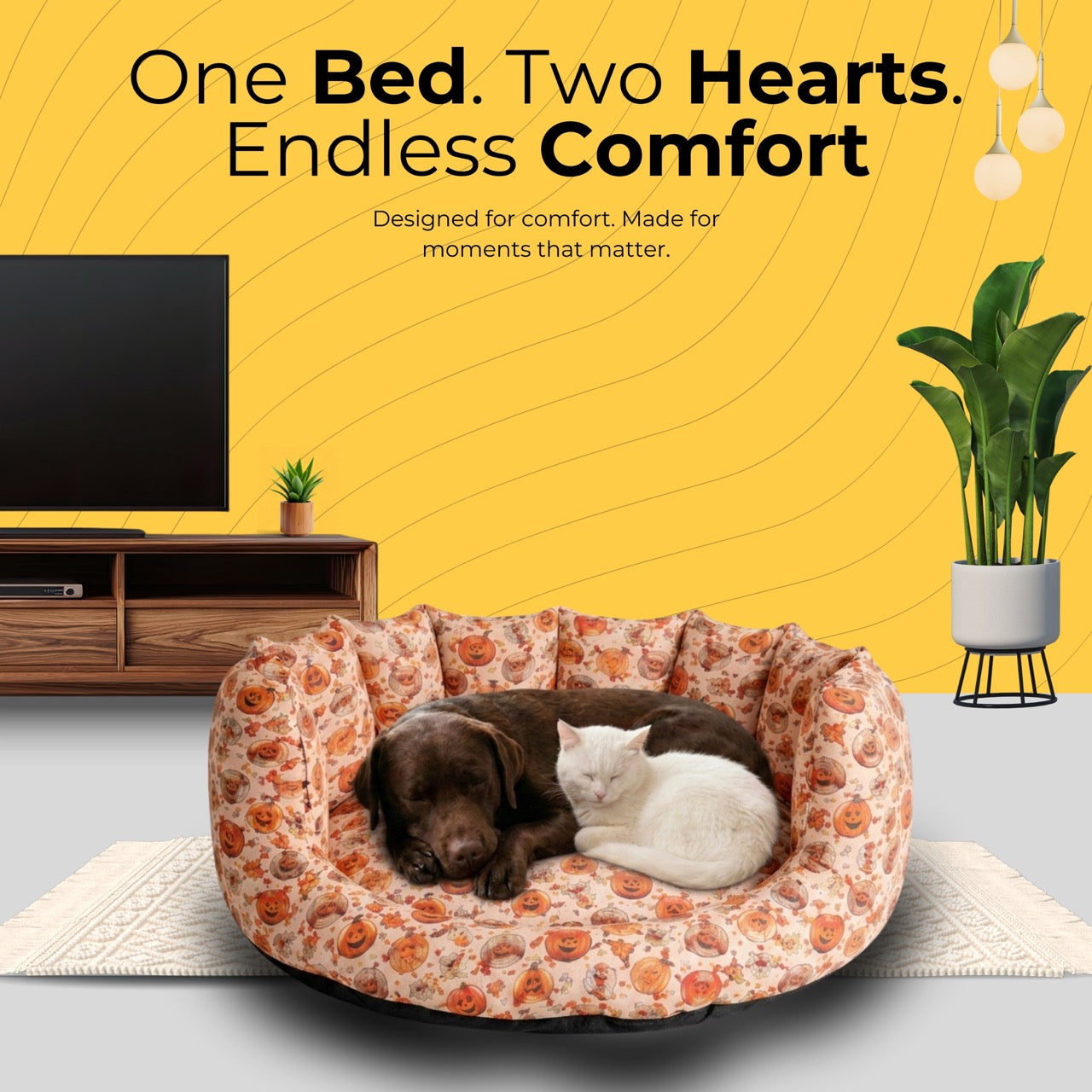 SnoozeSofa Pumpkin Print Bed