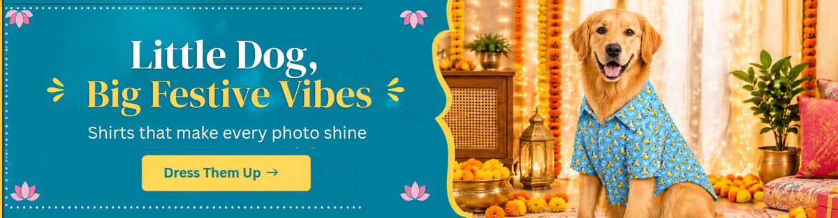 Homepage promotion slide 4