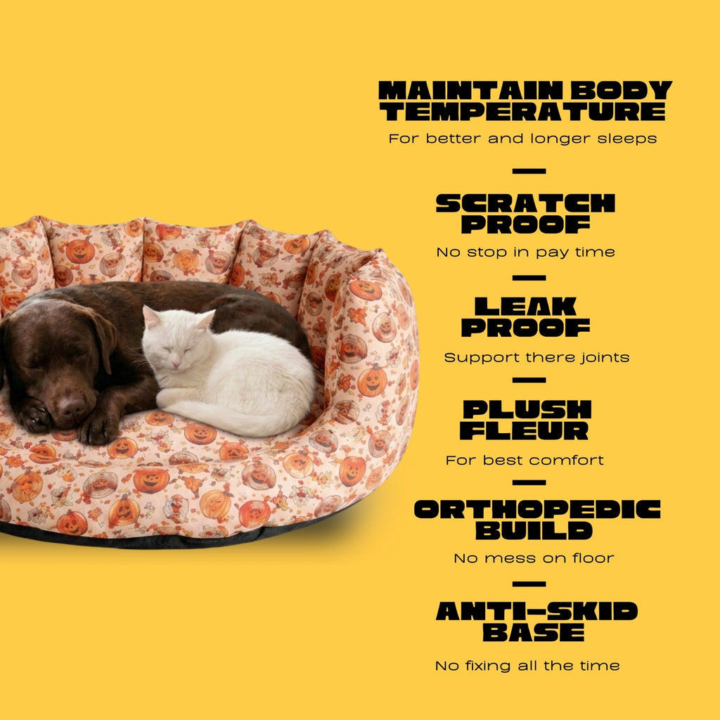 SnoozeSofa Pumpkin Print Bed