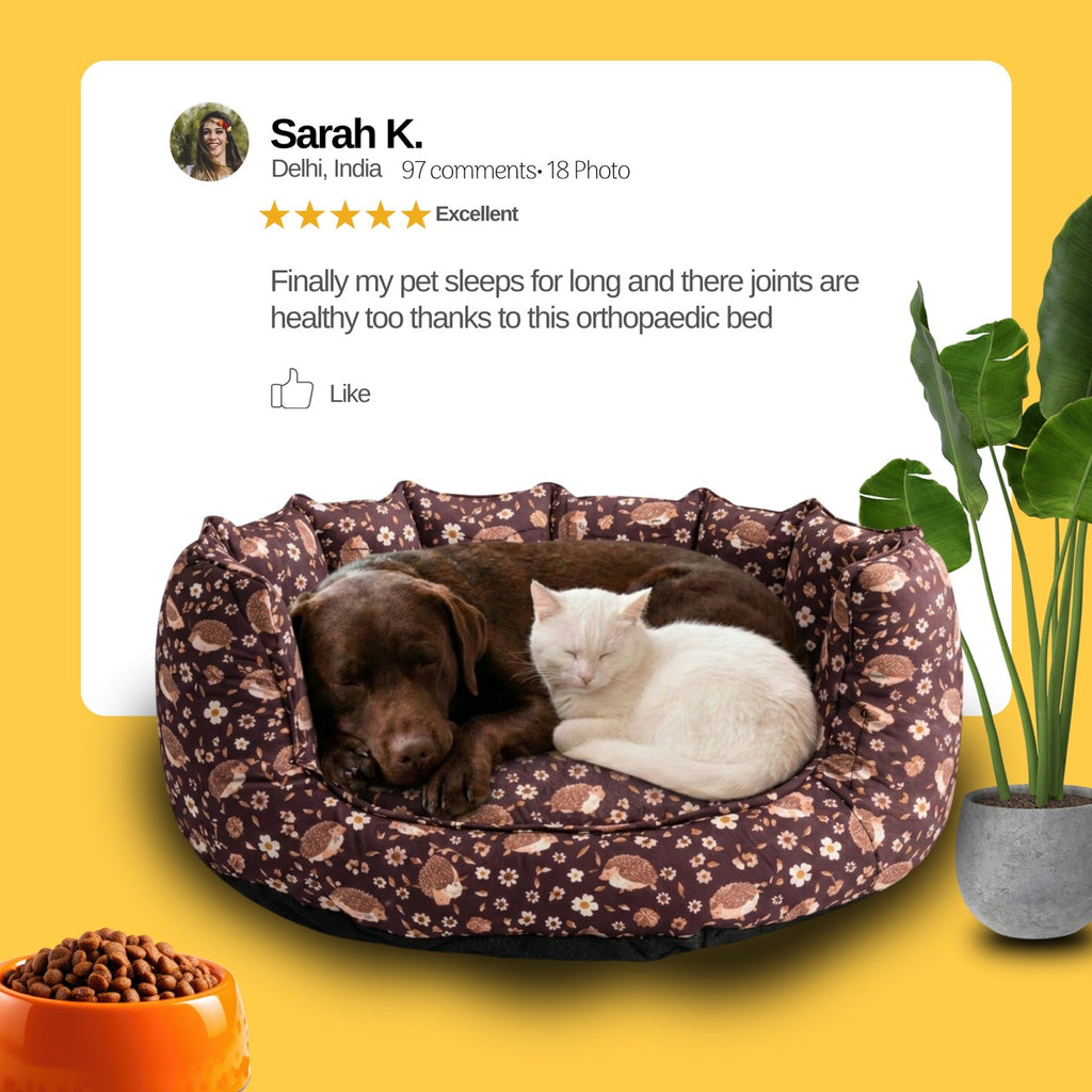 SnoozeSofa porcupine Print Bed