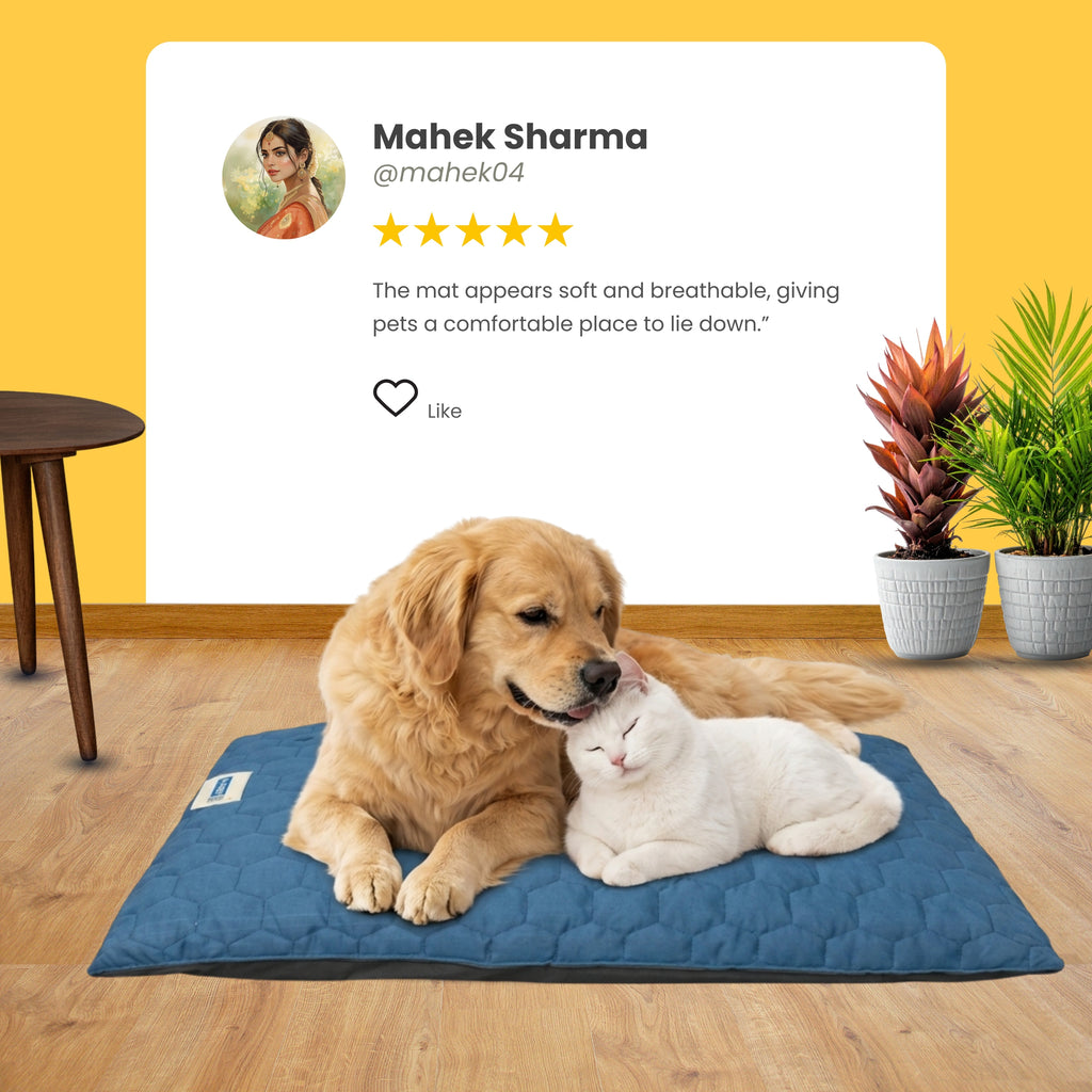 DailyRest Floor Mat