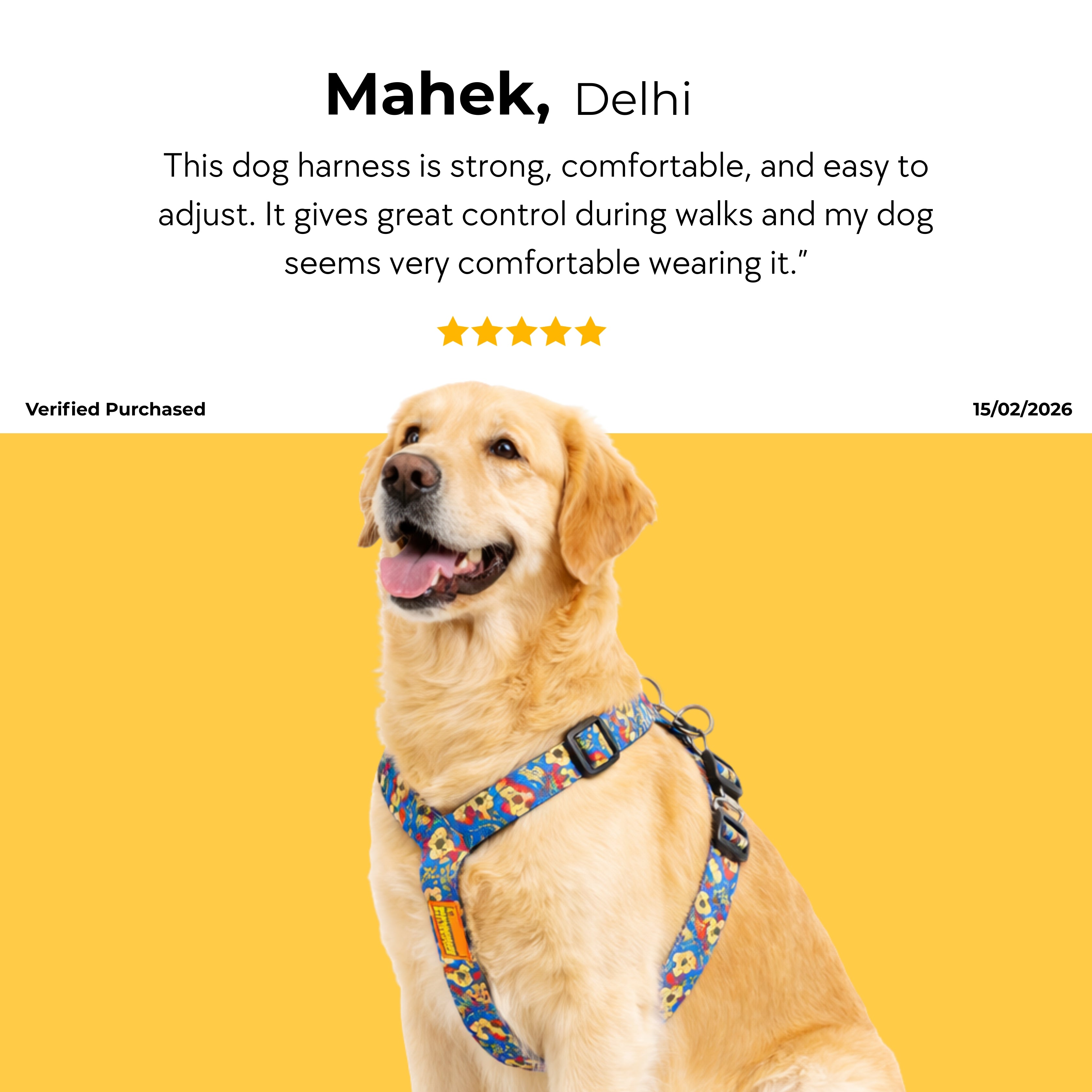 FunTrail Harness & Matching Leash