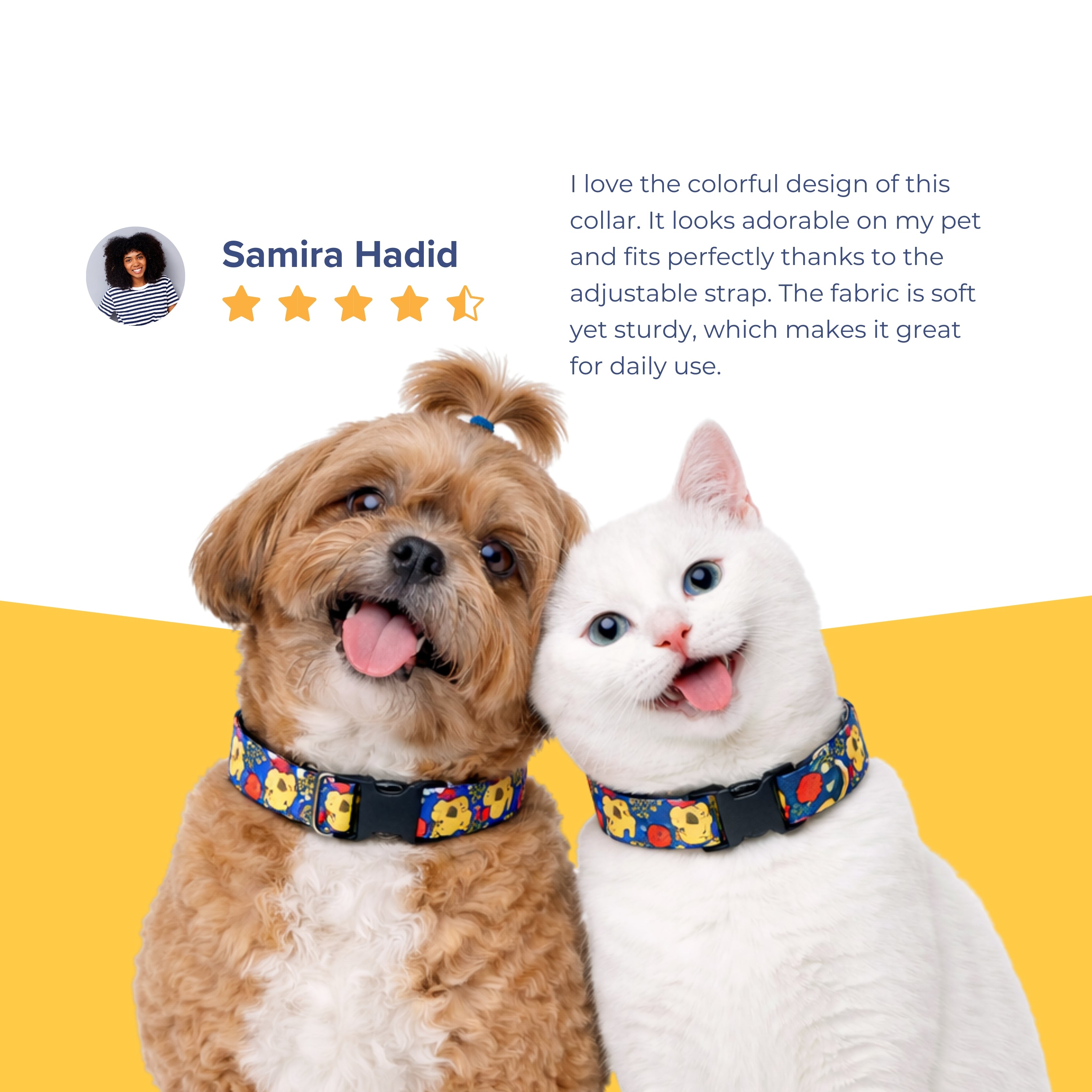 FunTrail Collar & Matching Leash
